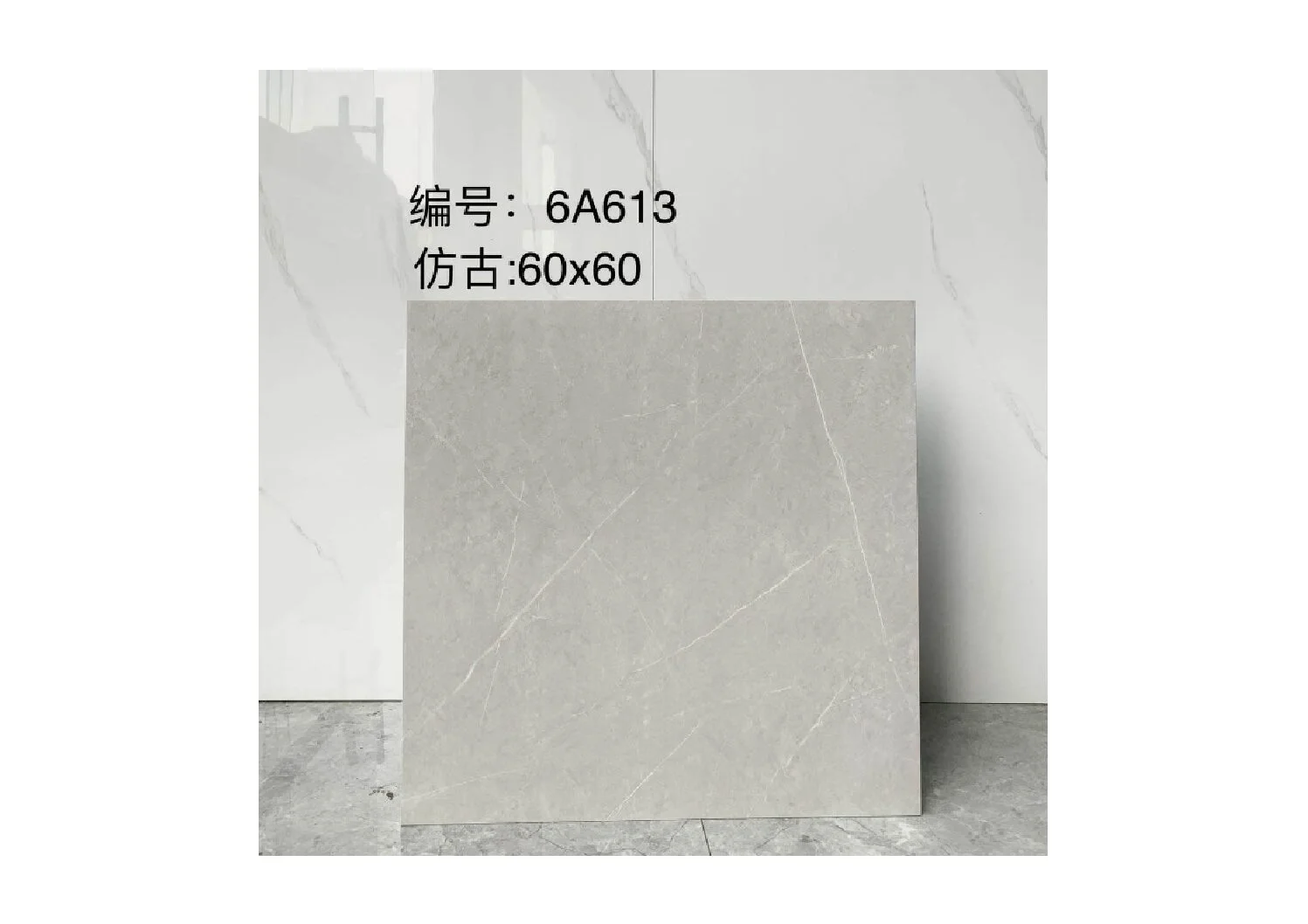 SS-600X600MM-Regular-Mate-Stock-Catalog-Baohua-pdf